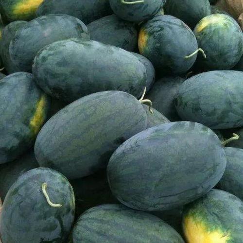 埇桥区吃瓜,一场别开生面的吃瓜盛宴