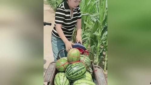 女生几岁吃瓜正常