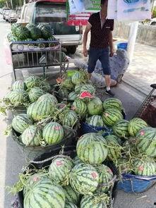 水东街酒店吃瓜事件,一场引发热议的餐饮风波