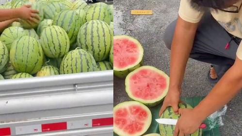 吃瓜买,揭秘娱乐圈背后的消费秘密