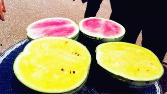 最近吃瓜爆料广州