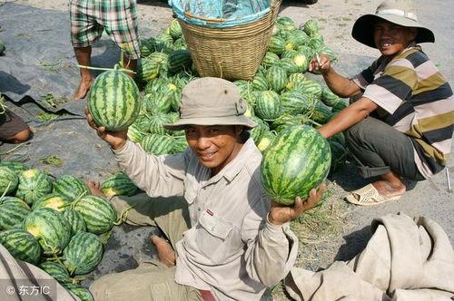 吃嚼烂的瓜,探寻生活百态