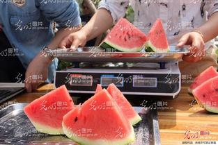 吃肉吃瓜恶心想吐,却引发恶心呕吐的奇妙体验